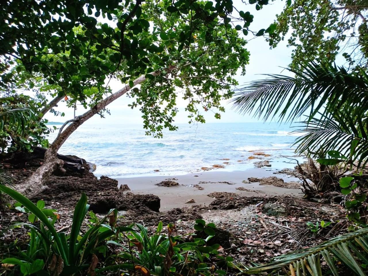 Hotel La Diosa Cahuita Esterno foto