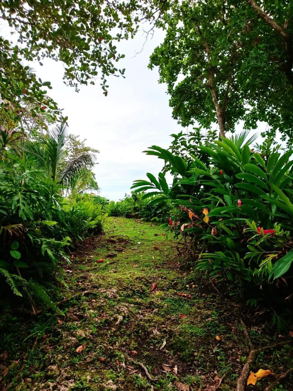 Hotel La Diosa Cahuita Esterno foto