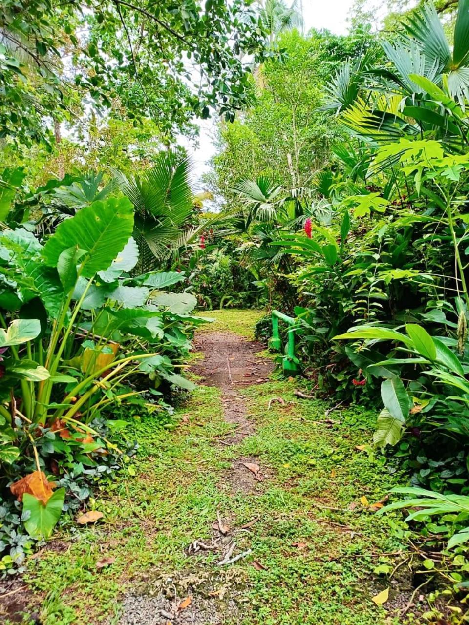 Hotel La Diosa Cahuita Esterno foto